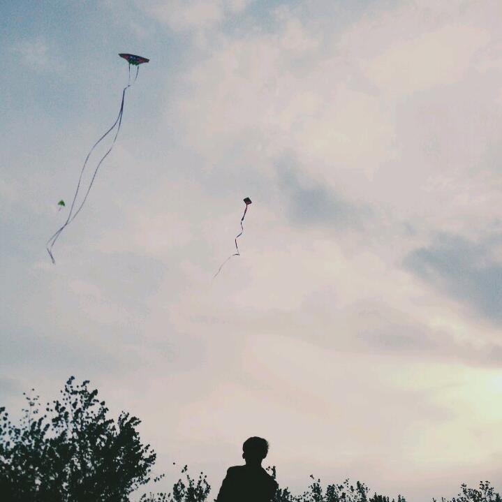 Wangmengyu