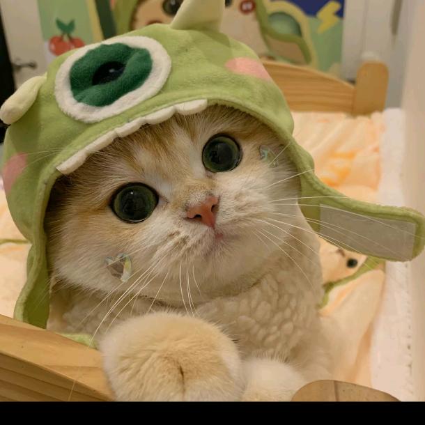 爱上奶昔