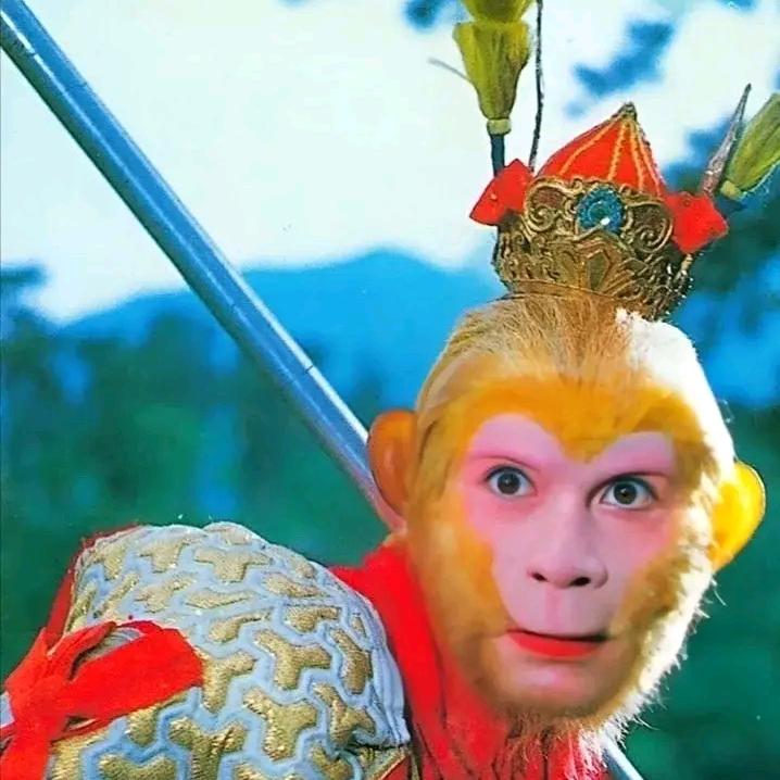 洛总