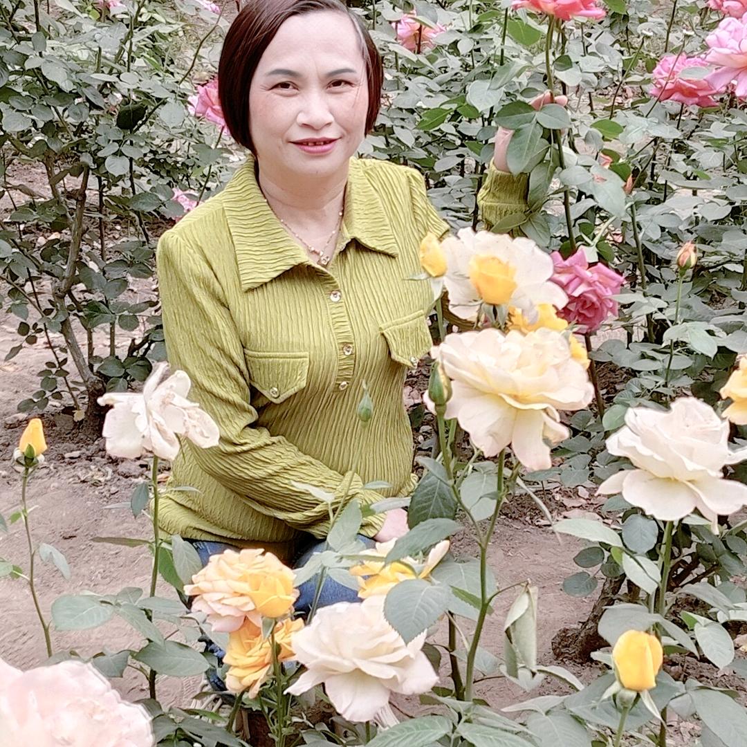 🥀এ᭄封心ꦿ锁💔爱 ོ࿐ᩚ