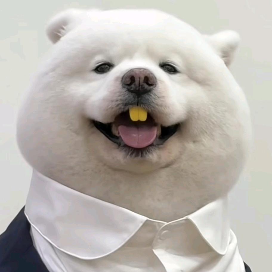 精神错乱的小胖子头像