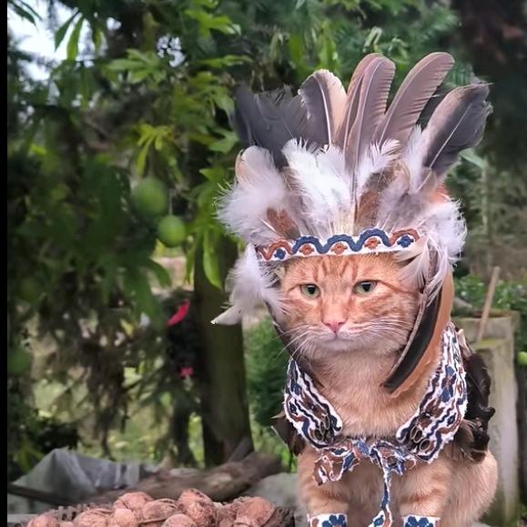 ╰★萳莱苝徃★╮