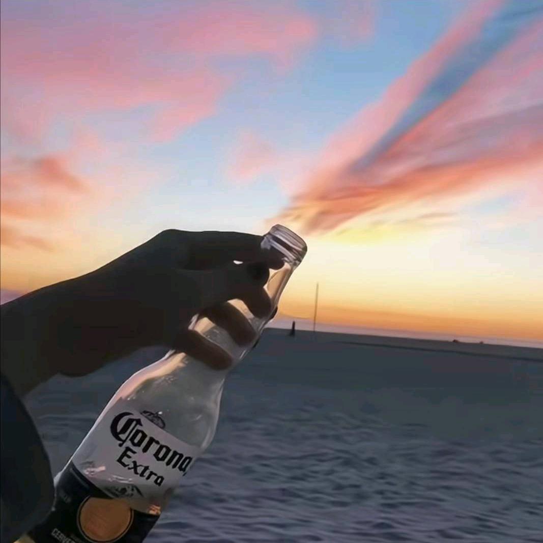 追风赶月别留情✨