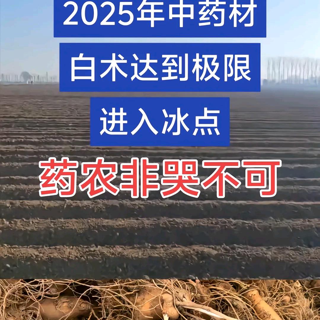 做人要实实在在