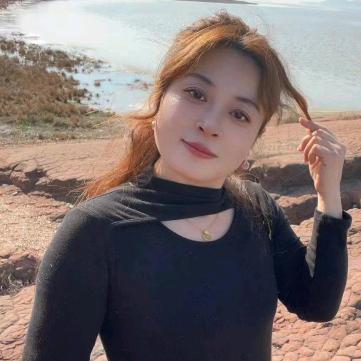 十二针双系统❤