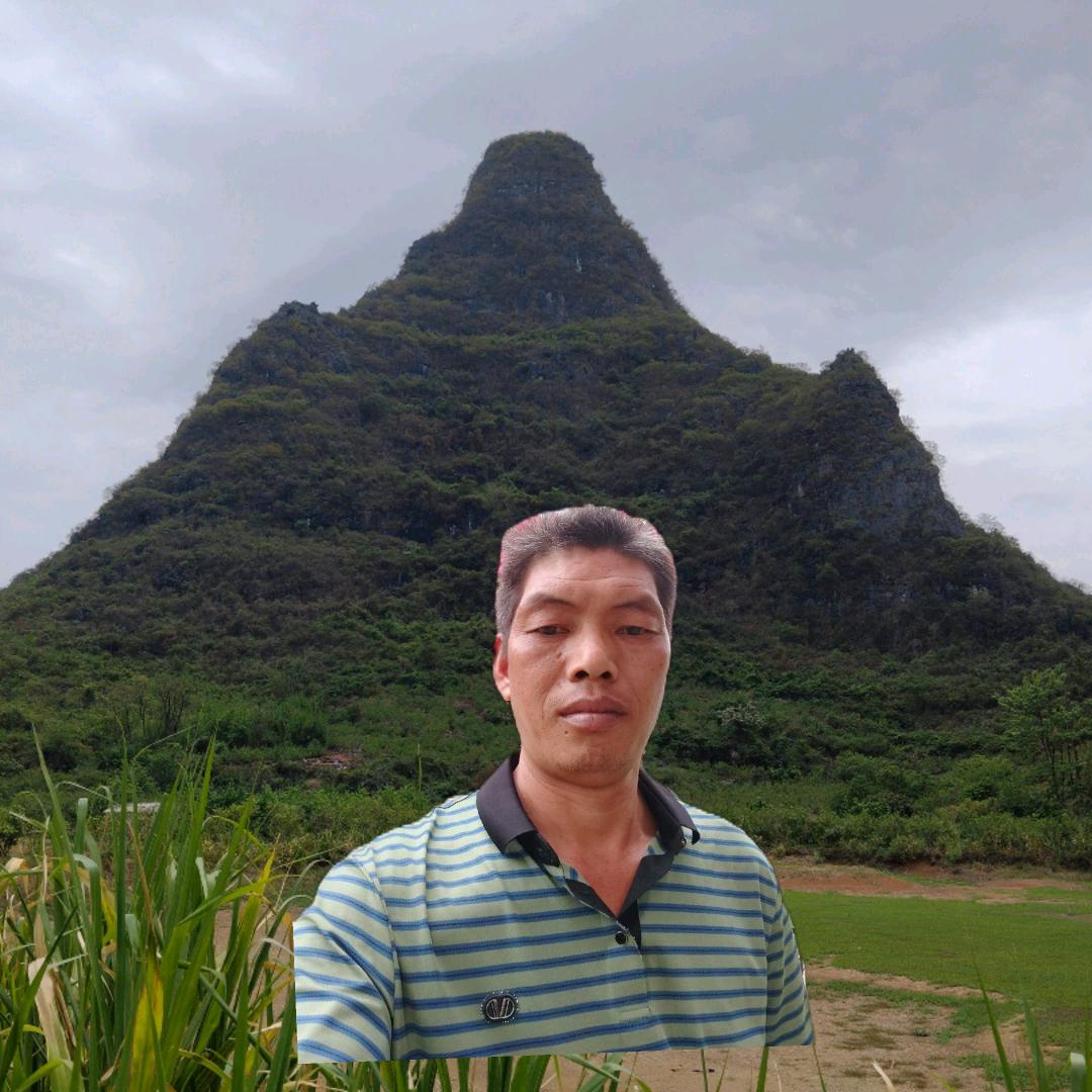 锦仔
