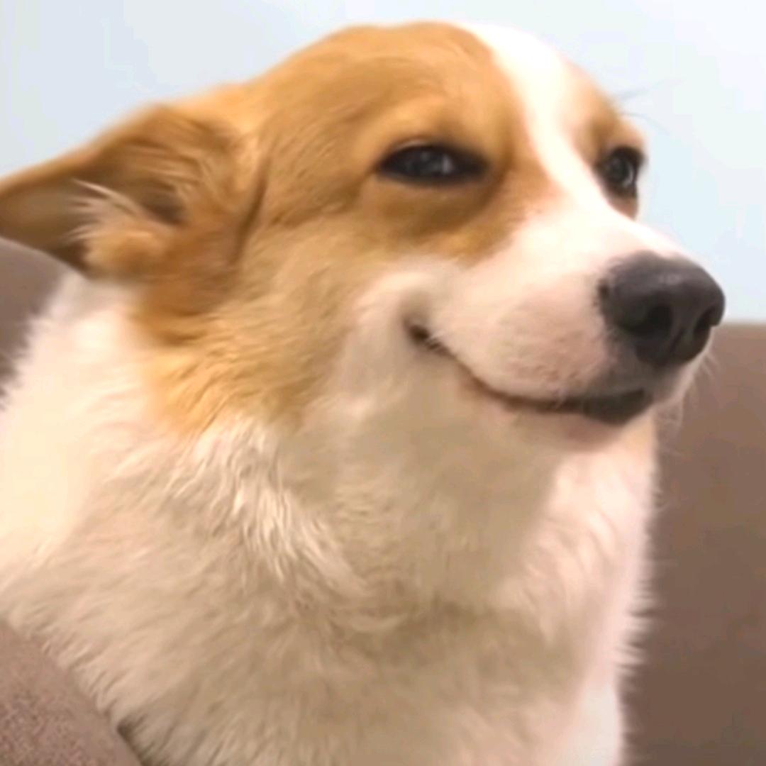 保山佳文文化传媒（团队招优）