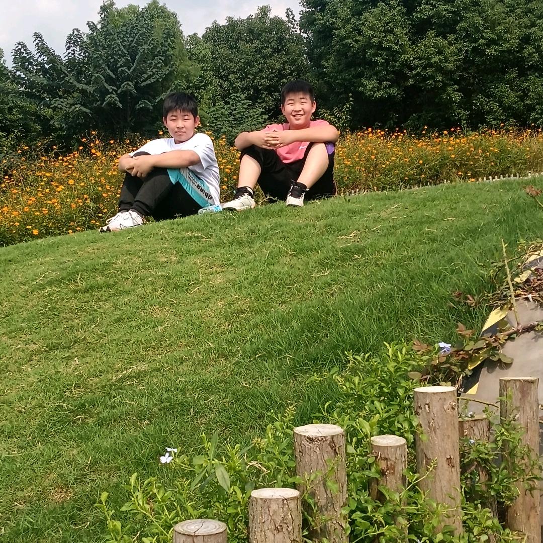 参参