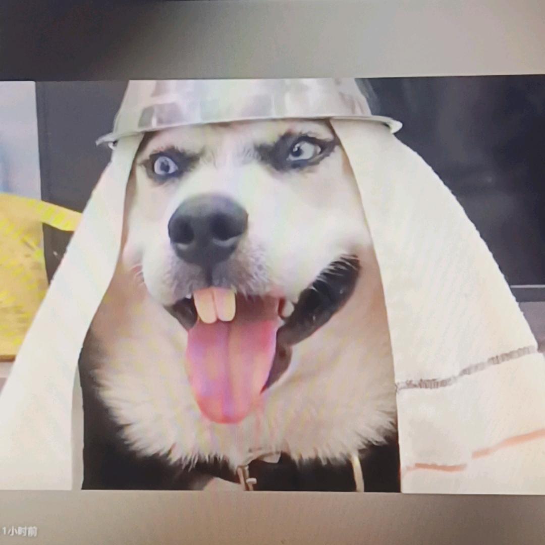 齐步走！一二一