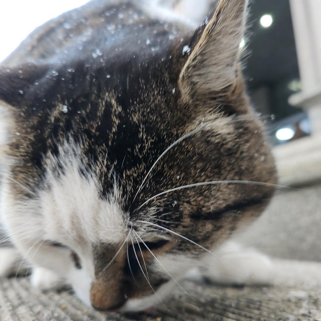 抖音用户40444742505