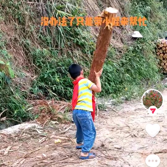 杨周二姓囡