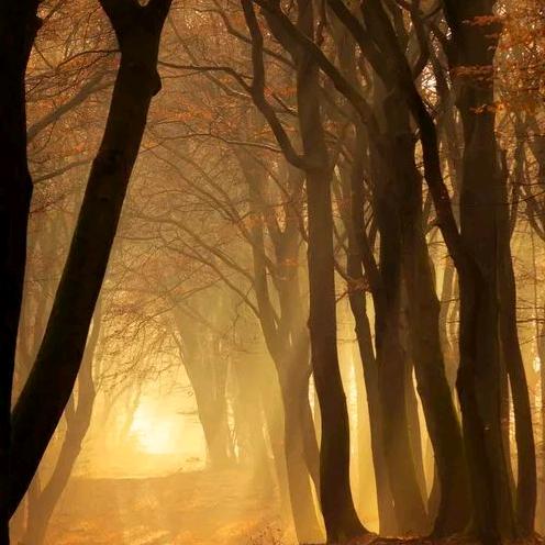 拂尘一笑泯恩仇