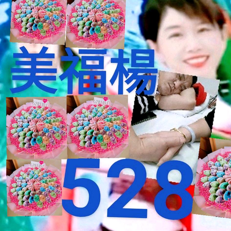幸福的美楊528