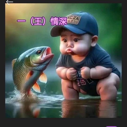 会飞的罗非鱼