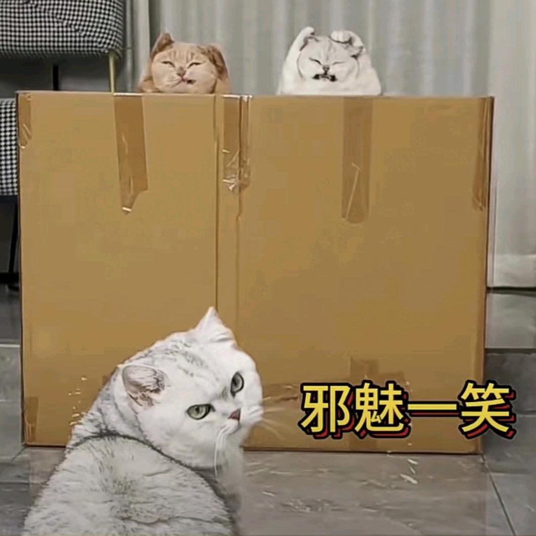 懒