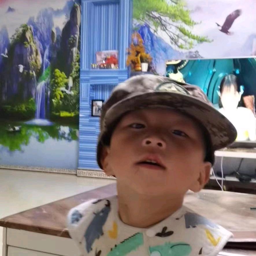 招财进宝