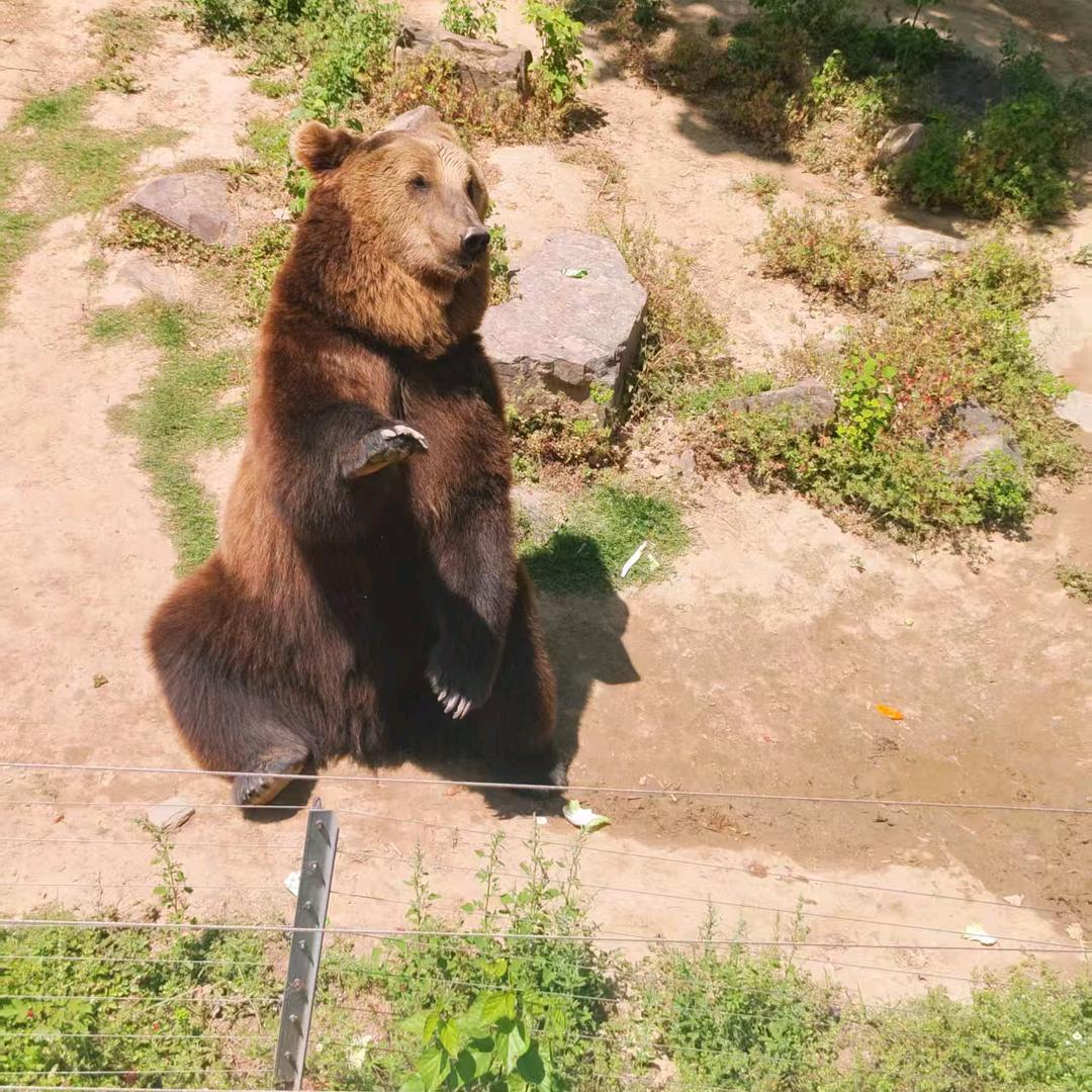 🍓ᯅ硪👉 妳吥配