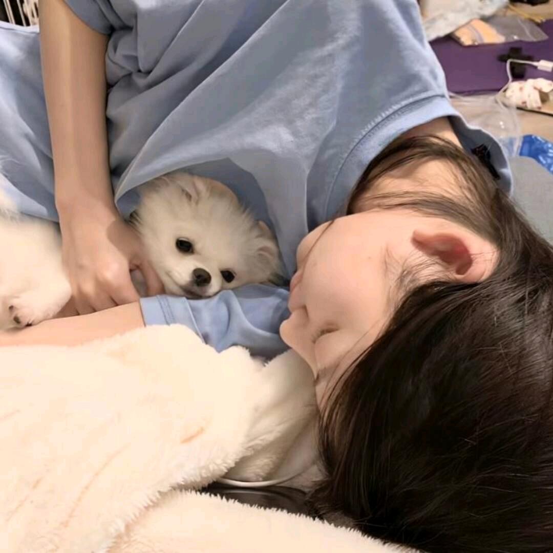 菜菜y