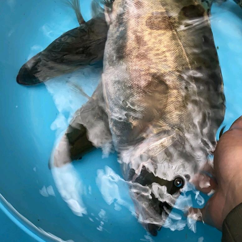 文港周玉祥笔庄