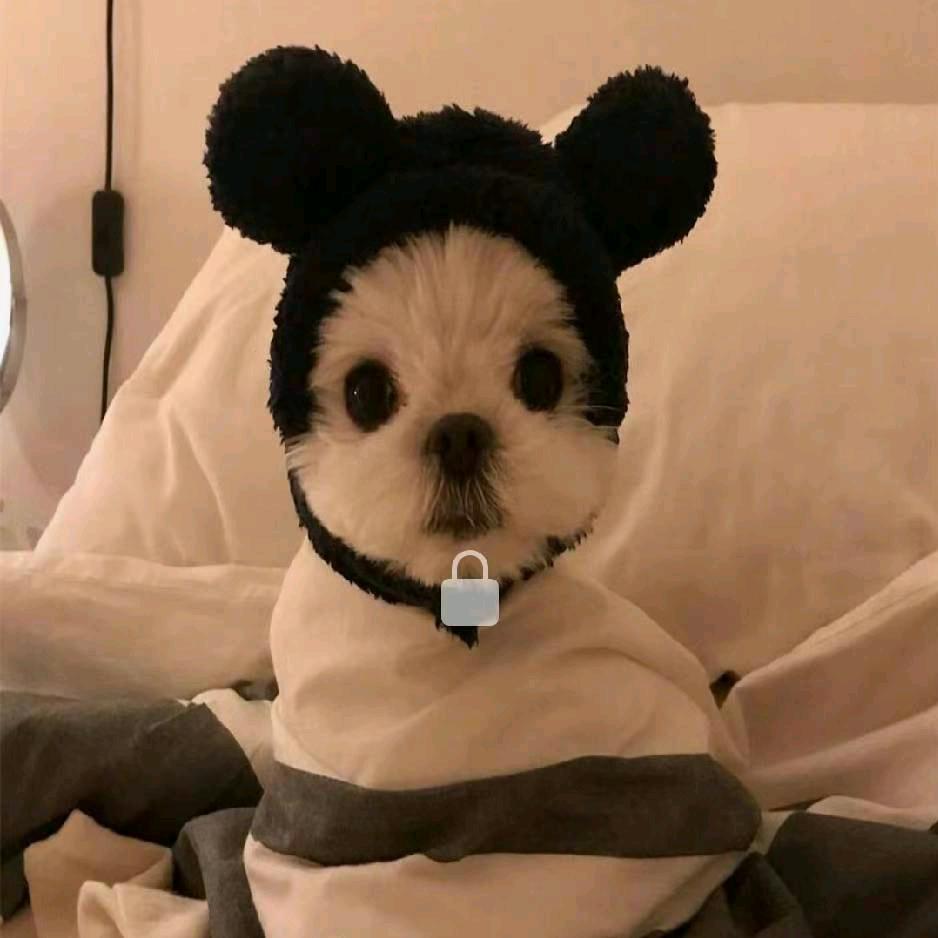 布拉布拉