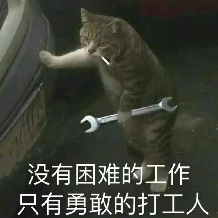 抖一抖