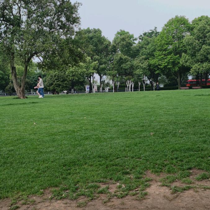 梅菲斯特（写作业）💫