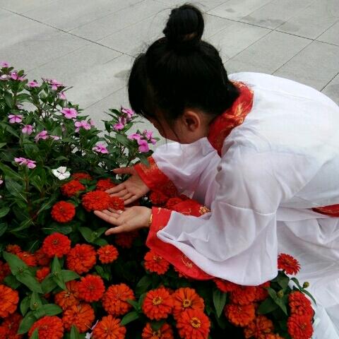 诗情画意