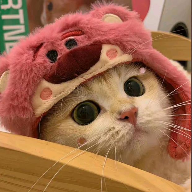 小灵西z