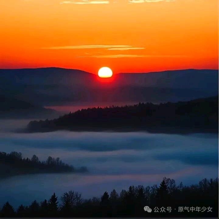 合格的陌生人