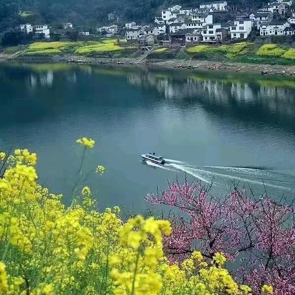 岁月如歌