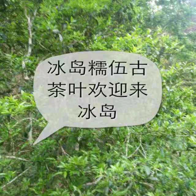 福强韵叶