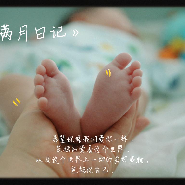 喜宝、