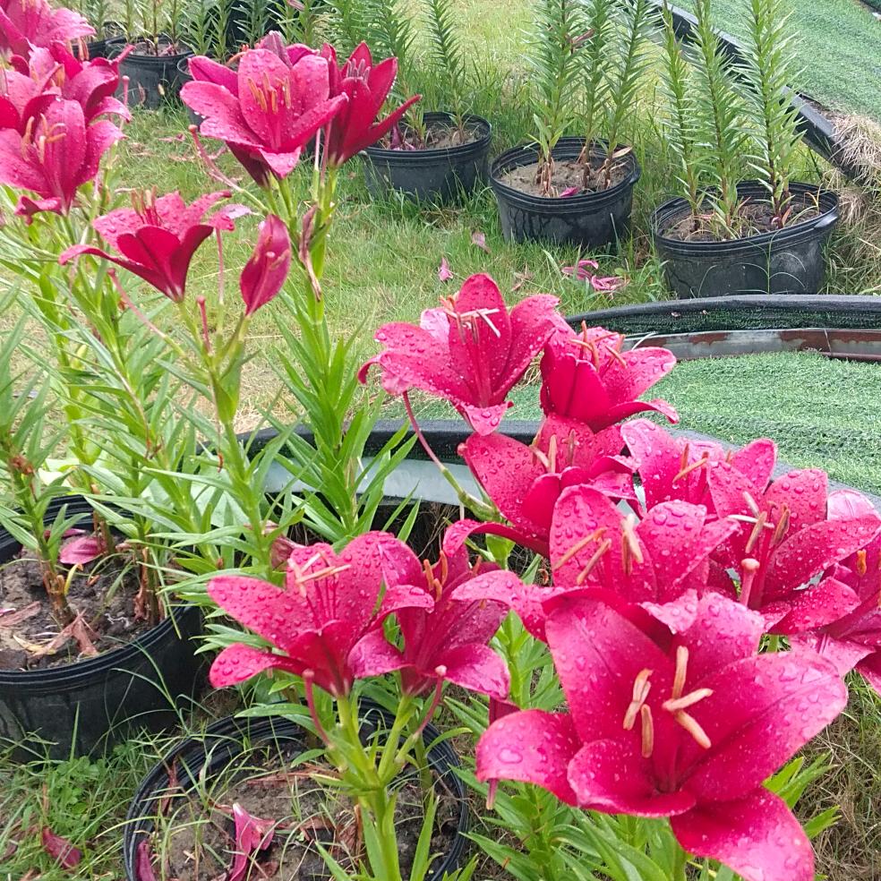 用户7314898755303随心所欲