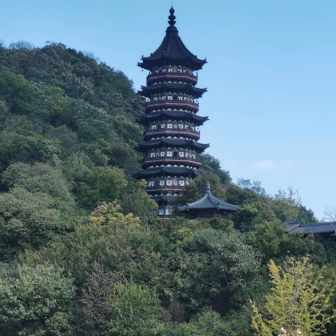 🌱摇钱树🌴🐖
