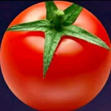 是tomato不是potato
