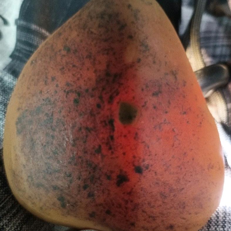 石代