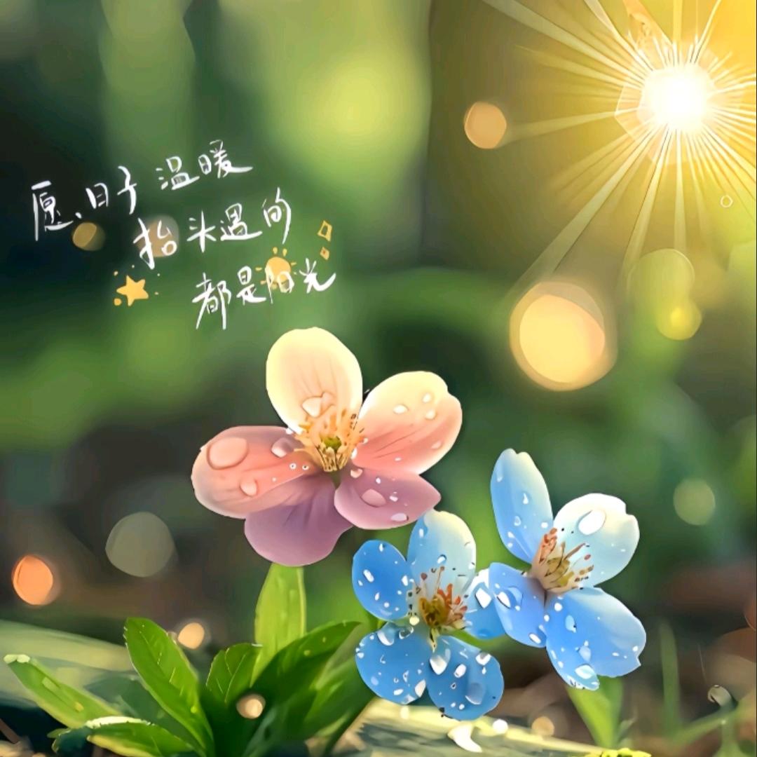 ໑ຼₒ₂₅ღ᭄微笑💕