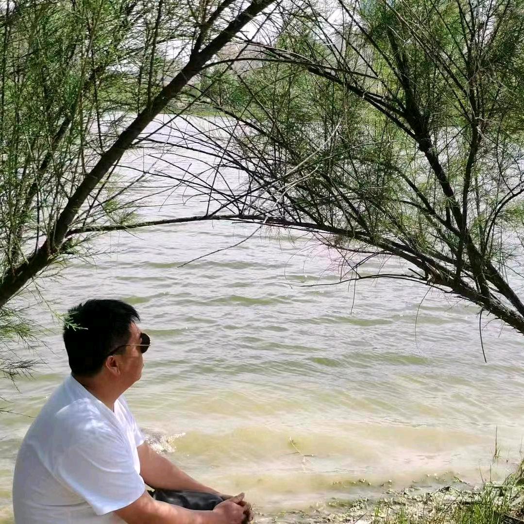 關山書雨——舒辛斋