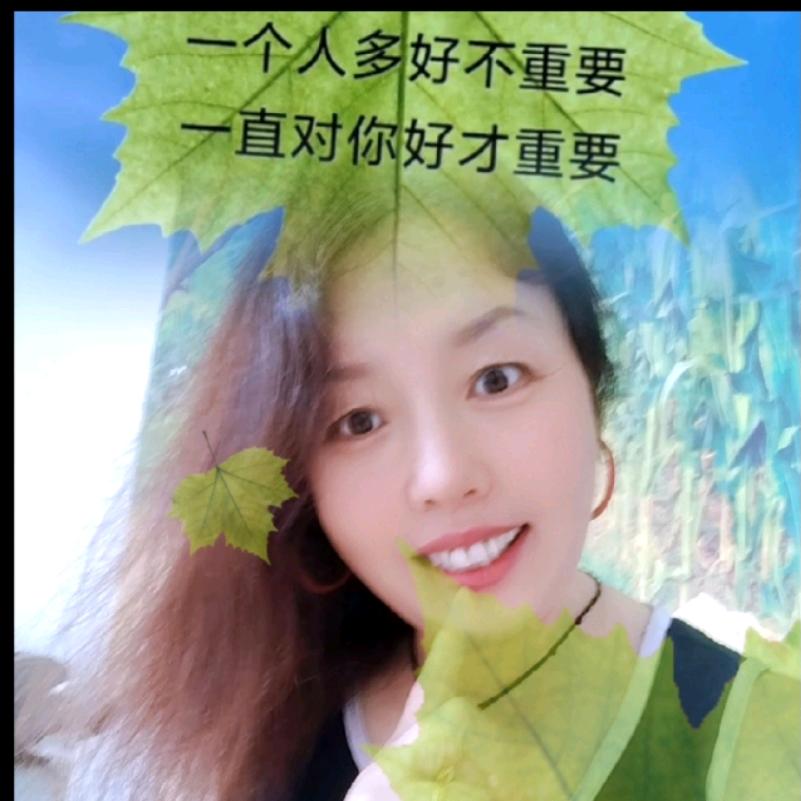 单身（阿珍））