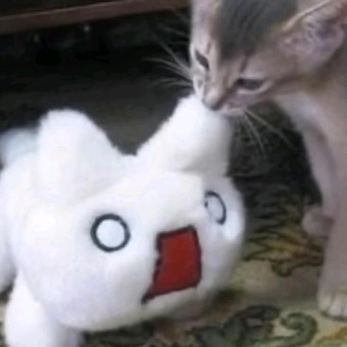 ⌯'ㅅ'⌯