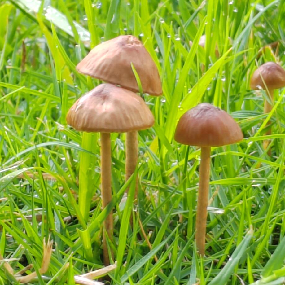 90后的保洁阿姨