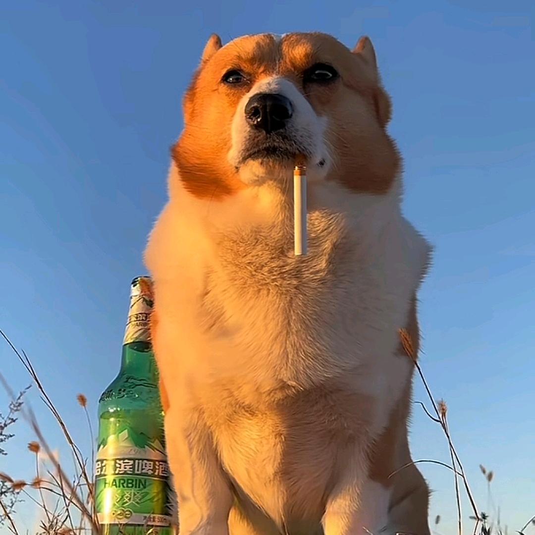江大白