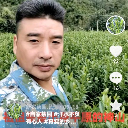 新农茶园胡乐哥安徽黄山太平猴魁核心产区