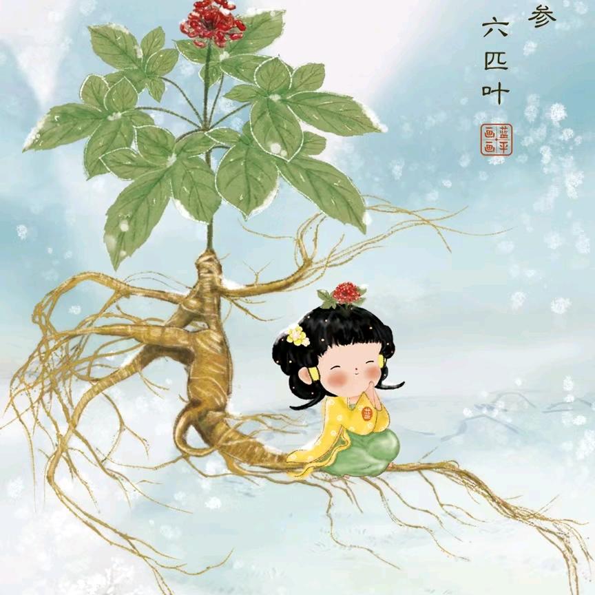 气质王
