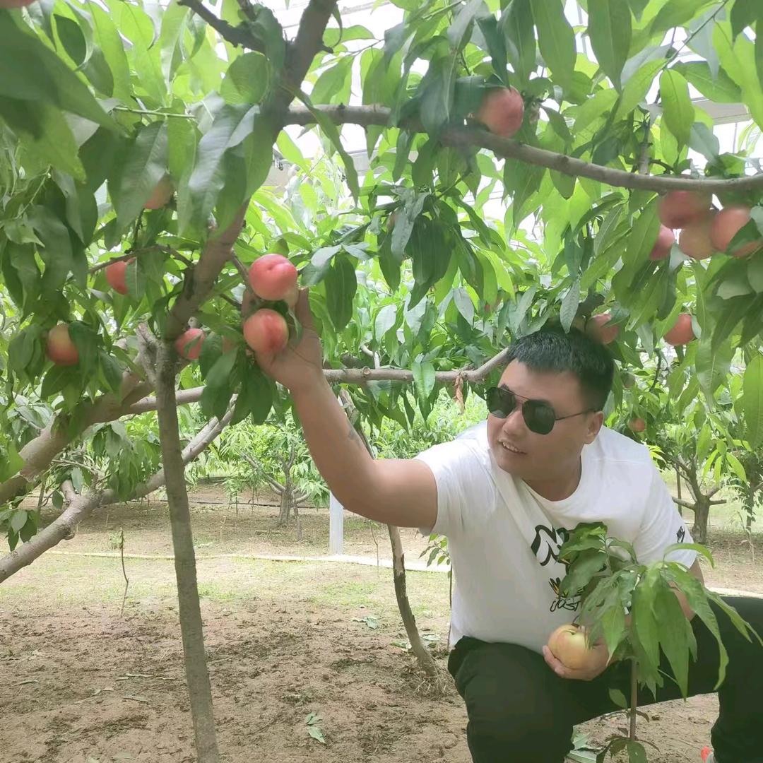 像梦一样自由