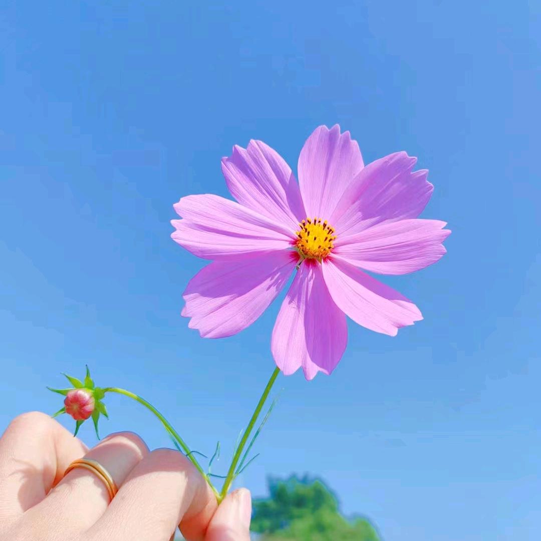 陈新妮