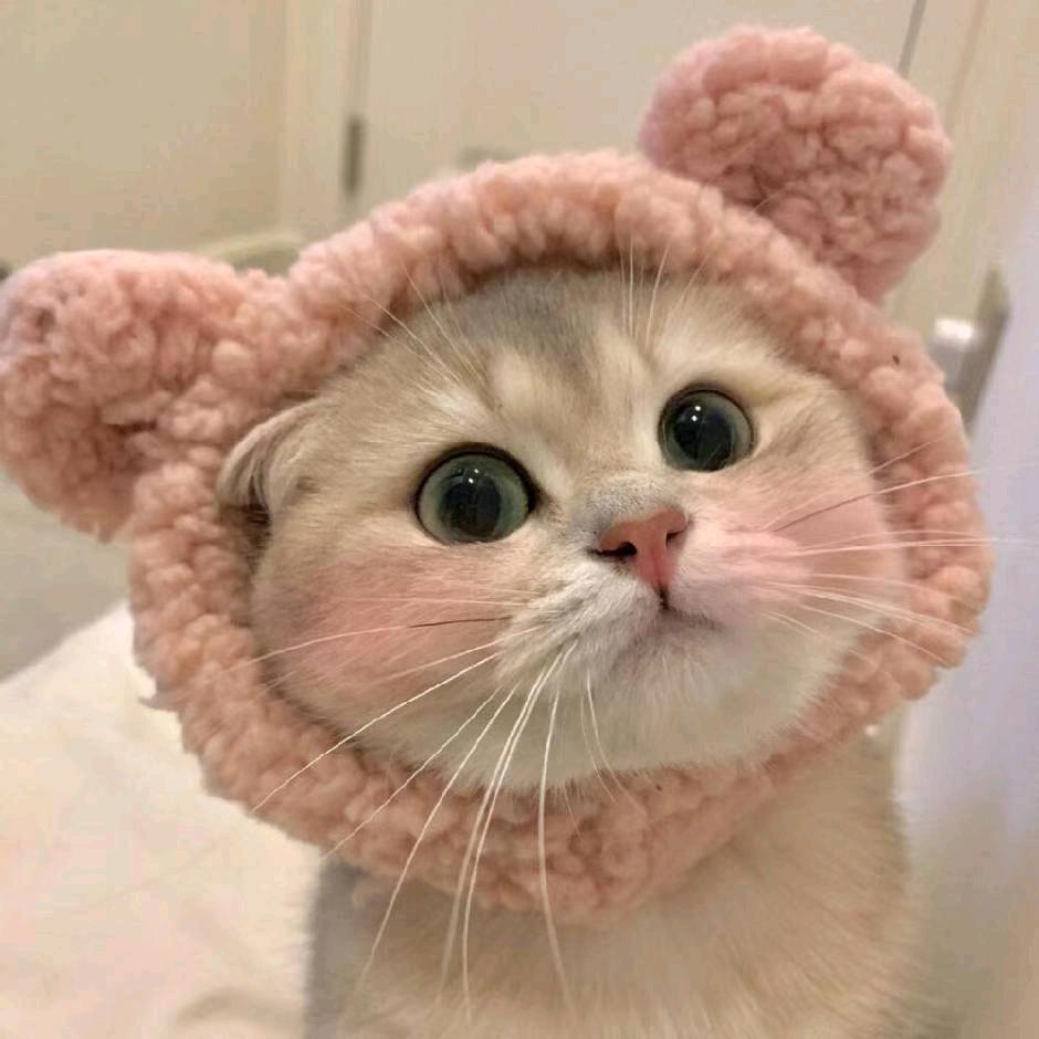 🌈🌈🌈①①*✪ω✪*爱淘气