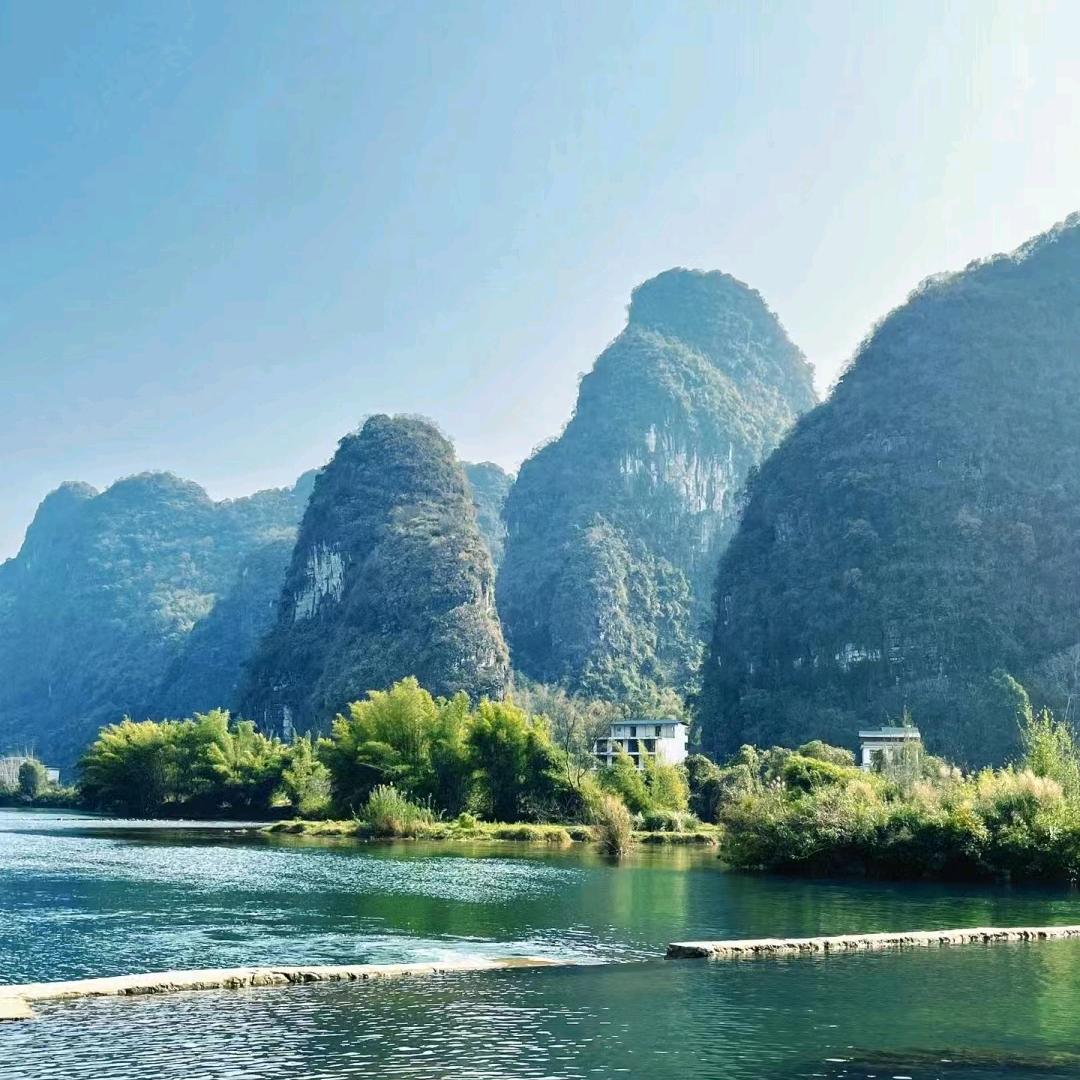 采姑娘的小蘑菇