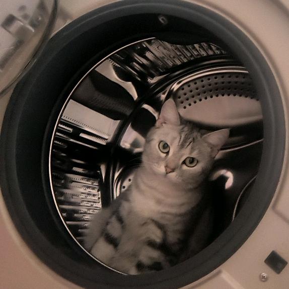 <哎呦喂✌︎( ᐛ )✌︎>　　　　🪳