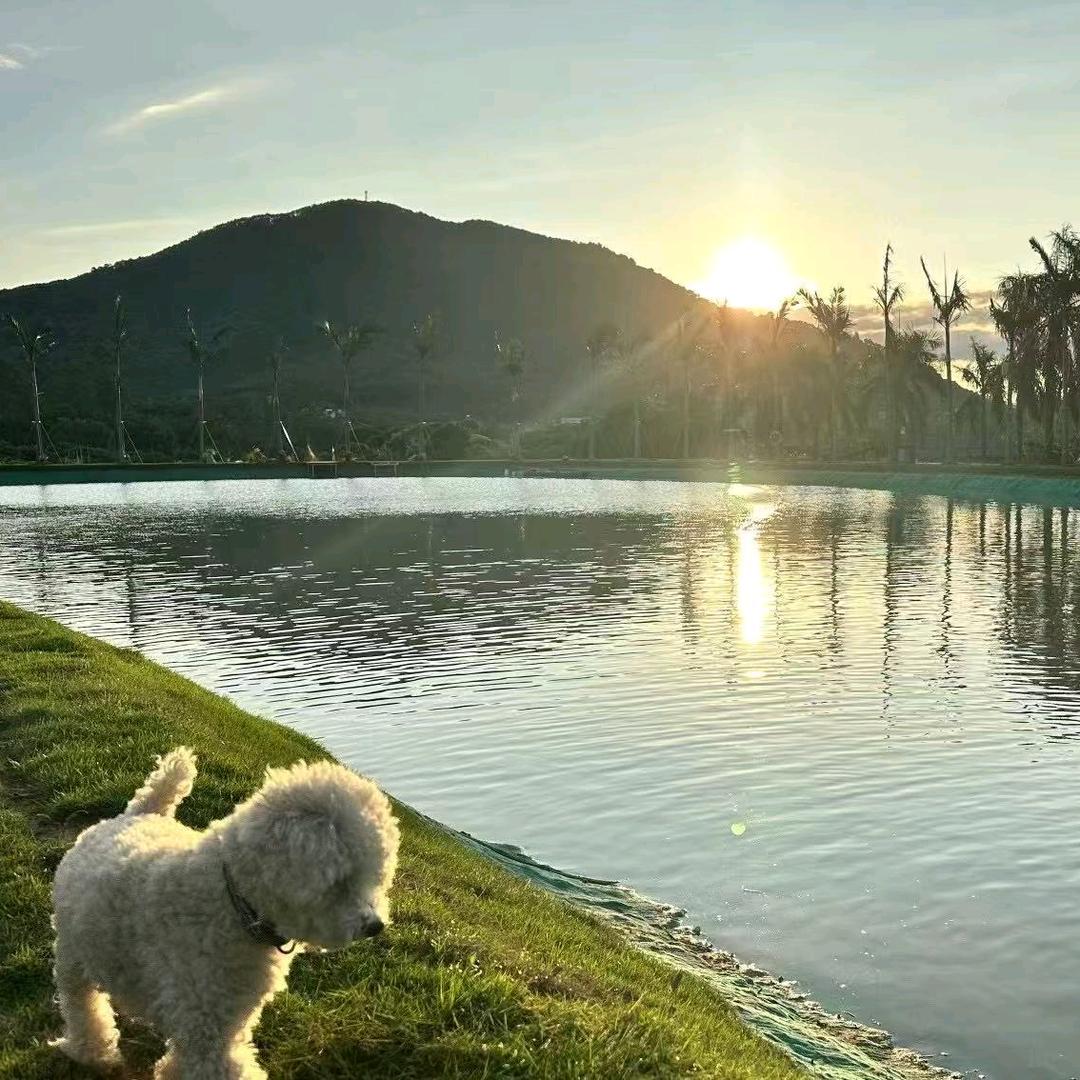仨俩好友休闲农场